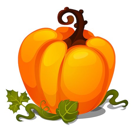 Realistic vector pumpkin isolated on transparency grid background Stockbilder - Microstock & Abonnement, Bildnummer: 400-09153084