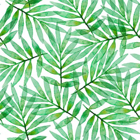 simsearch:400-09011216,k - Tropical watercolor seamless pattern with green palm leaves on a white background Foto de stock - Super Valor sin royalties y Suscripción, Código: 400-09153135