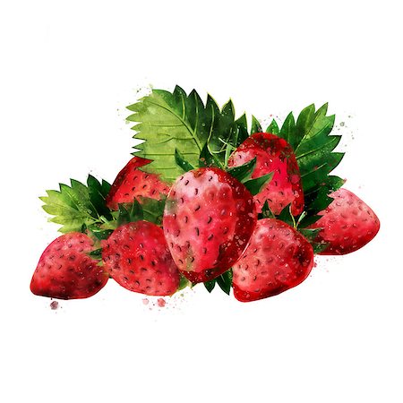 Strawberry, isolated illustration on a white background Foto de stock - Royalty-Free Super Valor e Assinatura, Número: 400-09153186