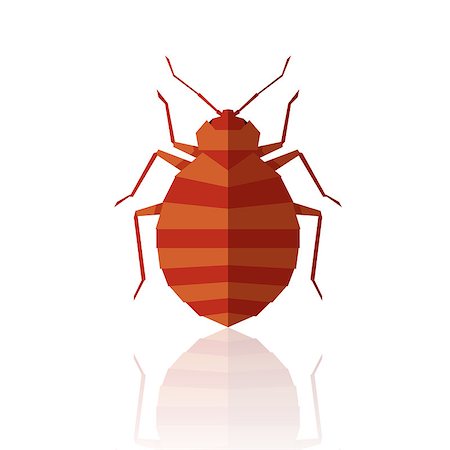 simsearch:400-09051551,k - Vector image of the Flat geometric bedbug Photographie de stock - Aubaine LD & Abonnement, Code: 400-09153334