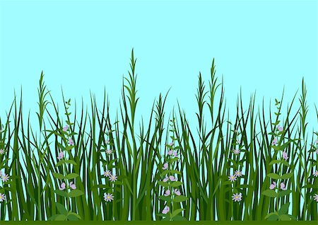 simsearch:400-06918933,k - Seamless Horizontal Background, Nature, Landscape with Fresh Green Grass, Leaves, Lilac Flowers and Blue Sky, Tile Pattern for Your Design. Vector Photographie de stock - Aubaine LD & Abonnement, Code: 400-09153400