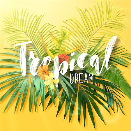 Bright exotic summer design with lettering integrated to tropical plants and flowers. Vector background of hibiscus flowers and royal and banana palm tree leaves. Photographie de stock - Aubaine LD & Abonnement, Code: 400-09153868