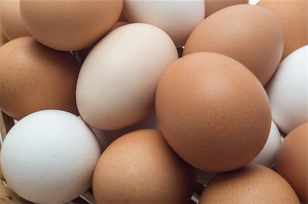 simsearch:400-04313912,k - Chicken eggs in different colors shades close-up as background Stockbilder - Microstock & Abonnement, Bildnummer: 400-09170589