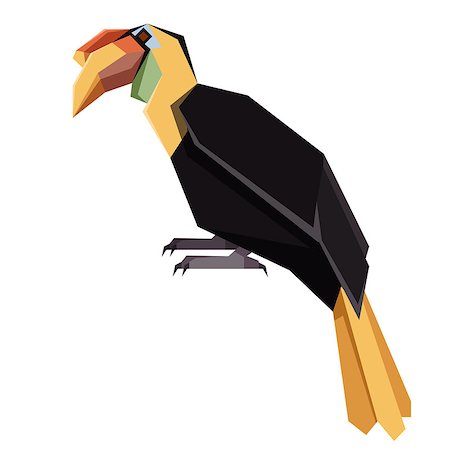 Vector image of the Flat geometric Winkled Hornbill Stock Photo - Budget Royalty-Free & Subscription, Code: 400-09170677