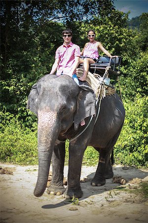 simsearch:400-06062920,k - Tourist rides on elephants in elephant farm in Thailand. Foto de stock - Super Valor sin royalties y Suscripción, Código: 400-09170755