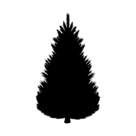 Silhouette fir tree coniferous flora.Vector illustration icon Stock Photo - Budget Royalty-Free & Subscription, Code: 400-09171075