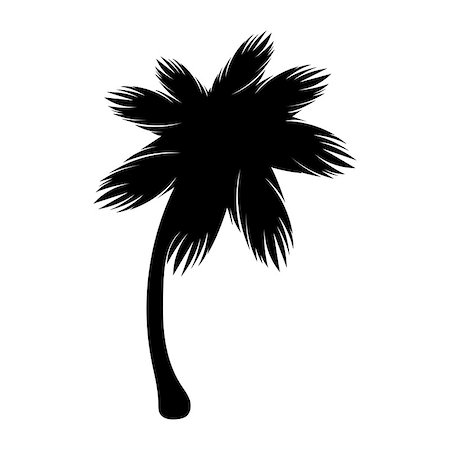 Silhouette palm icon tree flora. Vector illustration Stock Photo - Budget Royalty-Free & Subscription, Code: 400-09171084