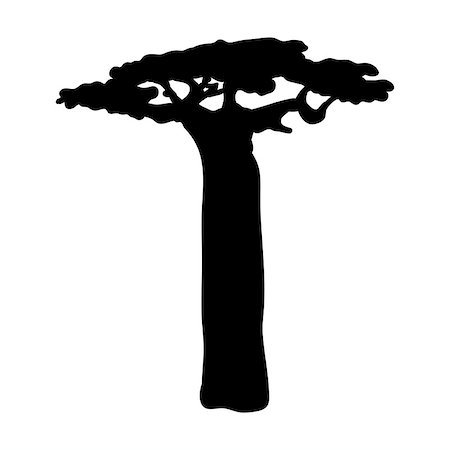 simsearch:400-07715470,k - Silhouette baobab icon tree flora. Vector illustration Stock Photo - Budget Royalty-Free & Subscription, Code: 400-09171083