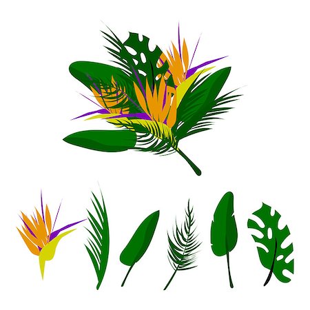 Tropical vector floral set. Floral collection of different palm leaves, exotic strelitzia flower in colorful flat collage style. Decoration elements for invitations, greeting cards, wedding, apparel, t shirt print, etc Photographie de stock - Aubaine LD & Abonnement, Code: 400-09171156