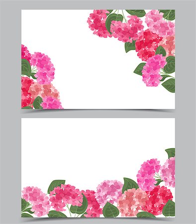 simsearch:400-09170984,k - Vector illustration of hydrangea flower. Background with floral decorations. Banner template Stockbilder - Microstock & Abonnement, Bildnummer: 400-09171441