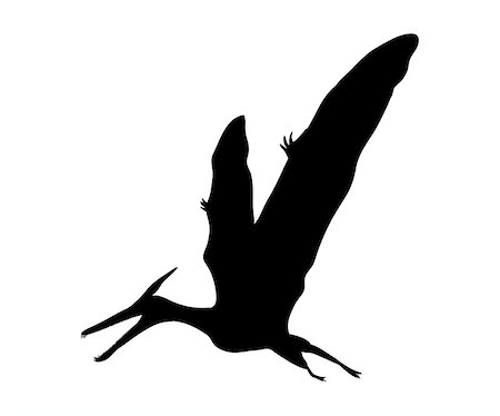 Silhouette Pterosaur dinosaur jurassic prehistoric animal. Vector illustration Stock Photo - Budget Royalty-Free & Subscription, Code: 400-09171505