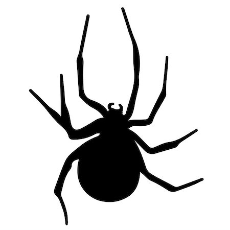 simsearch:400-08200203,k - Vector silhouette of a black spider emblem Foto de stock - Royalty-Free Super Valor e Assinatura, Número: 400-09171898