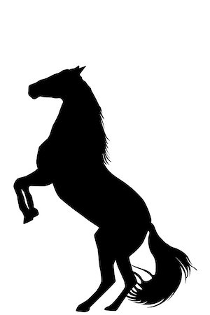 simsearch:400-07316355,k - Silhouette of rearing up horse on white background Stock Photo - Budget Royalty-Free & Subscription, Code: 400-09172381