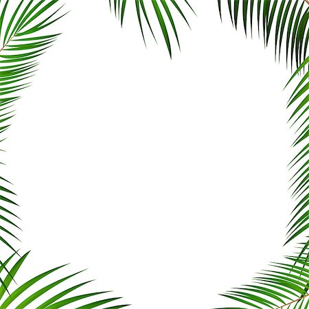 Palm Leaf Vector Background Illustration EPS10 Photographie de stock - Aubaine LD & Abonnement, Code: 400-09172618