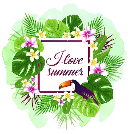 simsearch:400-09011216,k - Summer vector tropical background with plumeria flowers, green leaves and toucan. Foto de stock - Super Valor sin royalties y Suscripción, Código: 400-09172797