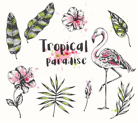 simsearch:400-09048464,k - Set of vector hand drawn summer tropical design elements. Pink flamingo, palm and banana leaves. Stockbilder - Microstock & Abonnement, Bildnummer: 400-09172798