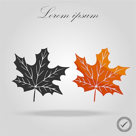 simsearch:400-06852043,k - Two Maple Leaves. Autumn maple leaf isolated on a white background. Vector Illustration eps 10 Fotografie stock - Microstock e Abbonamento, Codice: 400-09172852