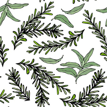 Seamless Endless Pattern of Rosemary Branch and Sage. Background with Aromatic Healing Herb. Steak Meat Spice. Hand Drawn Illustration. Savoyar Doodle Style Stockbilder - Microstock & Abonnement, Bildnummer: 400-09172868