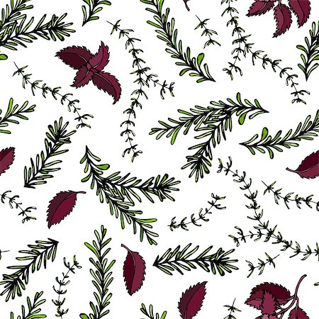 simsearch:6108-06168404,k - Seamless Endless Pattern of Rosemary Branch, Red Basil and Sage. Background with Aromatic Healing Herb. Steak Meat Spice. Hand Drawn Illustration. Savoyar Doodle Style Stockbilder - Microstock & Abonnement, Bildnummer: 400-09172872