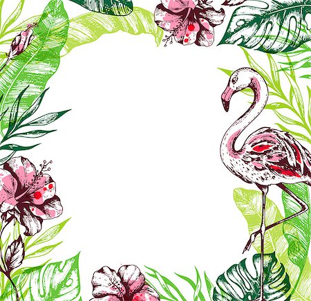 simsearch:400-09048464,k - Summer floral tropical frame with green palm leaves, hibiscus flowers and pink flamingo. Tropical plants on a white background. Hand drawn vector illustration. Stockbilder - Microstock & Abonnement, Bildnummer: 400-09173154
