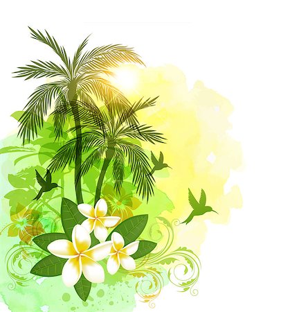 simsearch:400-09011216,k - Summer floral vector tropical watercolor background with green palms and flowers. Foto de stock - Super Valor sin royalties y Suscripción, Código: 400-09173150