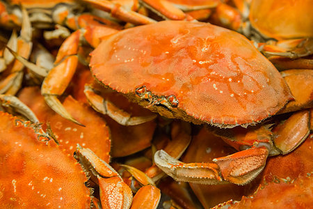 Closeup of a tray with just cooked crabs. Stock Photo - Budget Royalty-Free & Subscription, Code: 400-09186128