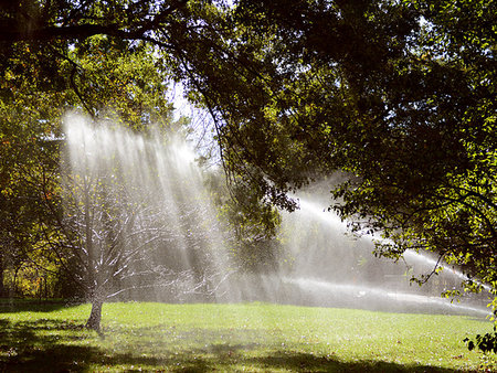 Rays of sunlight shine through a tree onto water from a sprinkler, watering a lawn in Central Park, New York City Foto de stock - Super Valor sin royalties y Suscripción, Código: 400-09186262
