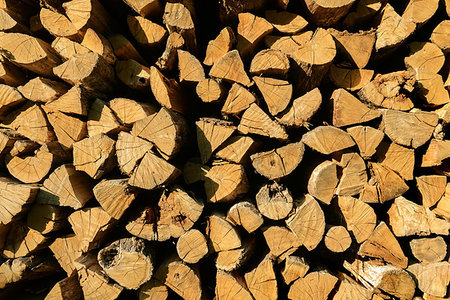 simsearch:400-06797086,k - Background of firewood texture after the sawing wood Stock Photo - Budget Royalty-Free & Subscription, Code: 400-09224472