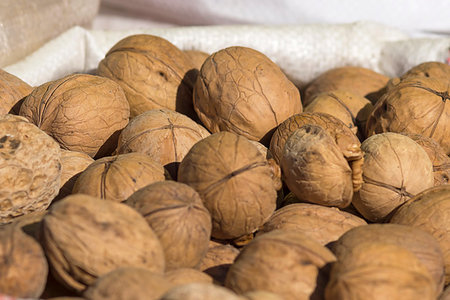 Walnut in a solid peel of brown color. They are used for cooking various dishes, halva, sweets, cakes, pastries and other sweets. Foto de stock - Super Valor sin royalties y Suscripción, Código: 400-09224750