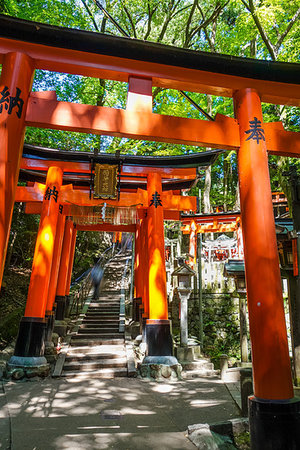 simsearch:400-05304973,k - Fushimi Inari Taisha torii shrine, Kyoto, Japan Foto de stock - Royalty-Free Super Valor e Assinatura, Número: 400-09225145