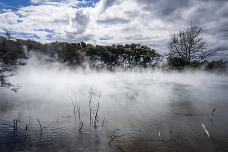 simsearch:400-04059397,k - Misty lake and forest in Rotorua volcanic area, New Zealand Photographie de stock - Aubaine LD & Abonnement, Code: 400-09226004