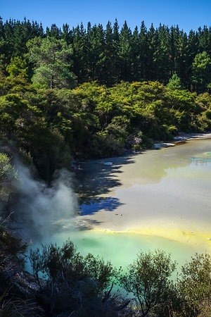 simsearch:400-04059397,k - green lake in Waiotapu geothermal area, Rotorua, New Zealand Photographie de stock - Aubaine LD & Abonnement, Code: 400-09226006