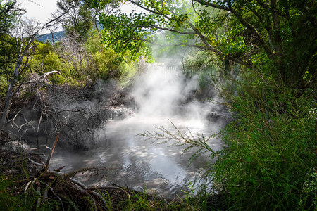 simsearch:400-09223812,k - Rotorua volcanic hot springs in forest, New Zealand Stock Photo - Budget Royalty-Free & Subscription, Code: 400-09226003