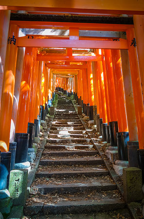 simsearch:400-05304973,k - Fushimi Inari Taisha torii shrine, Kyoto, Japan Foto de stock - Royalty-Free Super Valor e Assinatura, Número: 400-09226239