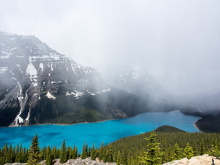 pines lake canada - View from Bow Summit of Peyto lake in Banff National Park, Alberta, Canada. Stock Photo - Budget Royalty-Free & Subscription, Code: 400-09226338