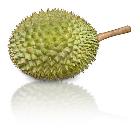 durião - Durian, pronouns as King of Fruits, isolated on white background Foto de stock - Royalty-Free Super Valor e Assinatura, Número: 400-09220883