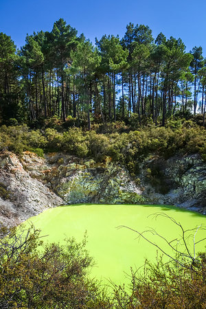 simsearch:400-04059397,k - green lake in Waiotapu geothermal area, Rotorua, New Zealand Photographie de stock - Aubaine LD & Abonnement, Code: 400-09221172