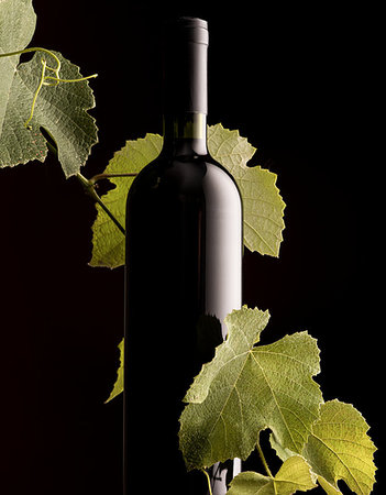simsearch:400-09222970,k - Excellent unlabeled wine bottle with vine branch on black background Stock Photo - Budget Royalty-Free & Subscription, Code: 400-09221550
