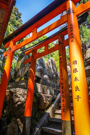 simsearch:400-05304973,k - Fushimi Inari Taisha torii shrine, Kyoto, Japan Foto de stock - Royalty-Free Super Valor e Assinatura, Número: 400-09221827
