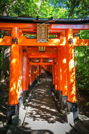 simsearch:400-05304973,k - Fushimi Inari Taisha torii shrine, Kyoto, Japan Foto de stock - Royalty-Free Super Valor e Assinatura, Número: 400-09221828