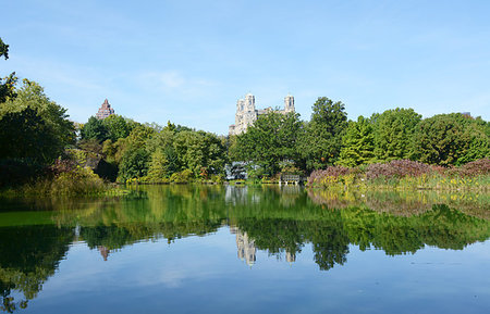 Turtle Pond in Central Park, surrounded by trees and lush marginal plants reflected in the water. Stock Photo - Budget Royalty-Free & Subscription, Code: 400-09222038