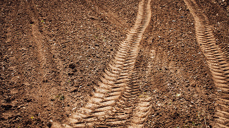 simsearch:400-07429043,k - Tractor tracks on the fertile soil in the farm fields during a sunny summer day Foto de stock - Royalty-Free Super Valor e Assinatura, Número: 400-09222165