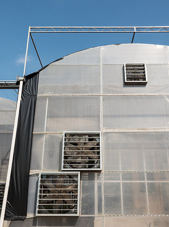 Large greenhouse with the multi ventilators in the modern floral farm. Foto de stock - Royalty-Free Super Valor e Assinatura, Número: 400-09222359