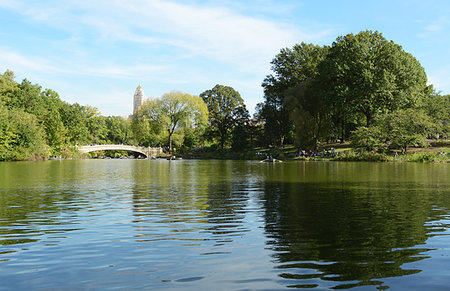 Bow Bridge over The Lake in Central Park on a sunny day. Tourists and locals relax on the grass and row boats across the water. Stock Photo - Budget Royalty-Free & Subscription, Code: 400-09222411