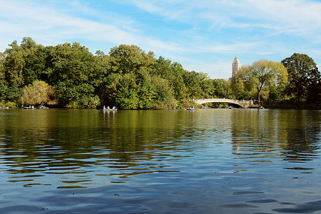 People rowing boats on The Lake in Central Park. Bow Bridge spans the water between green trees in early fall. Stock Photo - Budget Royalty-Free & Subscription, Code: 400-09222412