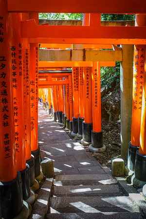 simsearch:400-05304973,k - Fushimi Inari Taisha torii shrine, Kyoto, Japan Foto de stock - Royalty-Free Super Valor e Assinatura, Número: 400-09222444