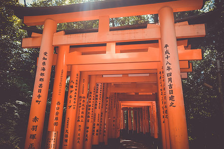 simsearch:400-05304973,k - Fushimi Inari Taisha torii shrine, Kyoto, Japan Foto de stock - Royalty-Free Super Valor e Assinatura, Número: 400-09222443