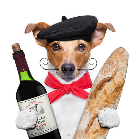 simsearch:400-06927182,k - french jack russell  dog  with  red wine baguette and  beret, isolated on white background Stockbilder - Microstock & Abonnement, Bildnummer: 400-09222504