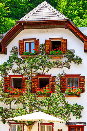 Hallstatt, Austria. Central market square (Marktplatz). Traditional house among green knolls. Windows with flowers and flowerpots. Old wooden architectural decorations. Stock Photo - Budget Royalty-Free & Subscription, Code: 400-09222712