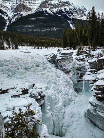 Icy Sunwapta Falls in Winter surrounded my snowy trees Stock Photo - Budget Royalty-Free & Subscription, Code: 400-09222745